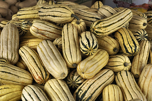 Delicata Squashes – Marché Jean-Talon, Montréal, Québec, Canada