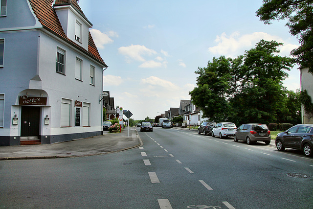 Haberlandstraße (Dortmund-Mengede) / 9.06.2019