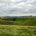 The Mere Downs ~ Wiltshire