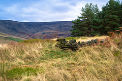 Bleaklow from Shire Hill