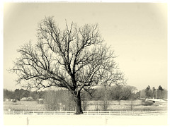 Winter loneliness