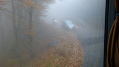 Gegenverkehr im Nebel