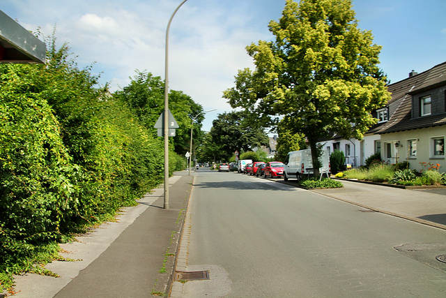 Dörwerstraße (Dortmund-Nette) / 22.06.2019