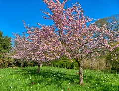Spring Colour