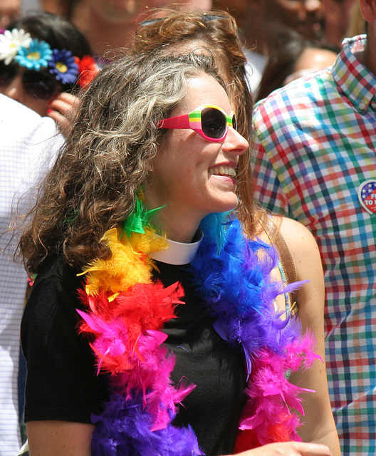 San Francisco Pride Parade 2015 (6648)