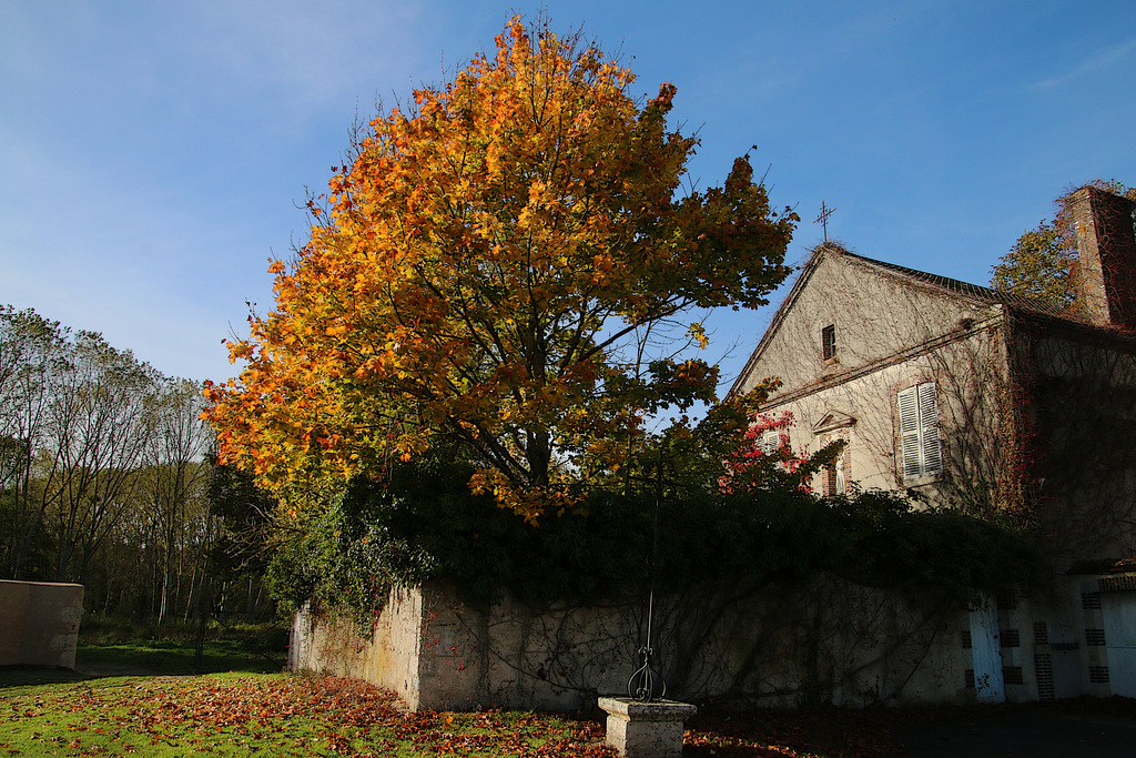Le presbytère de Varize ( 28 )
