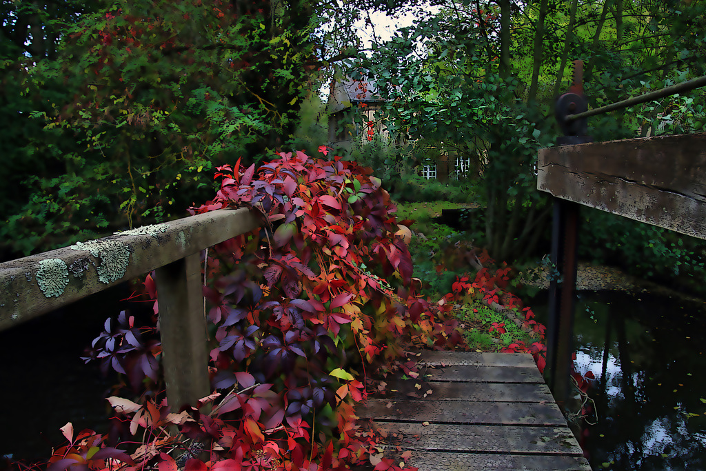 Le petit pont de bois