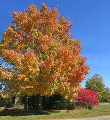 October colors