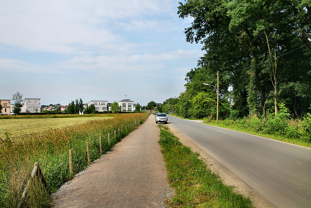 Wittichstraße (Dortmund-Holthausen) / 22.06.2019