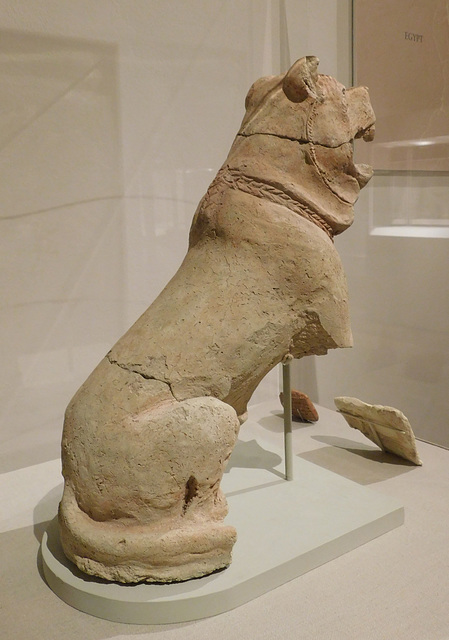 Kassite Mastiff in the Metropolitan Museum of Art, August 2019