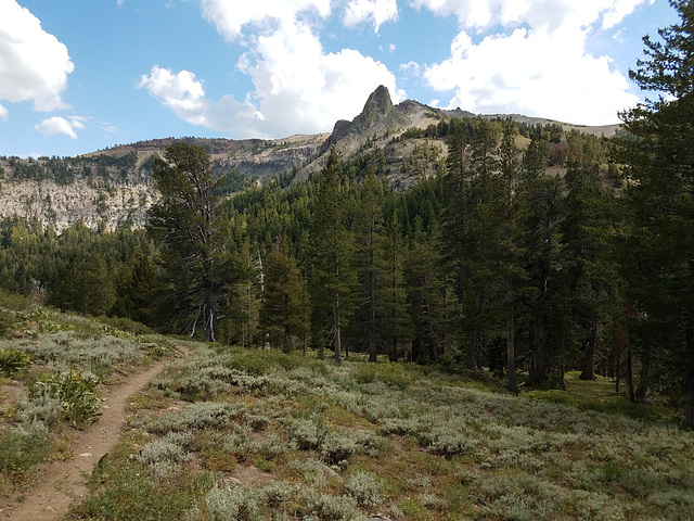 PCT and Spire off Arnot Peak