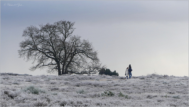 Happy Family in Winter...