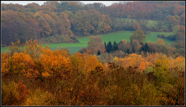 Autumn nest