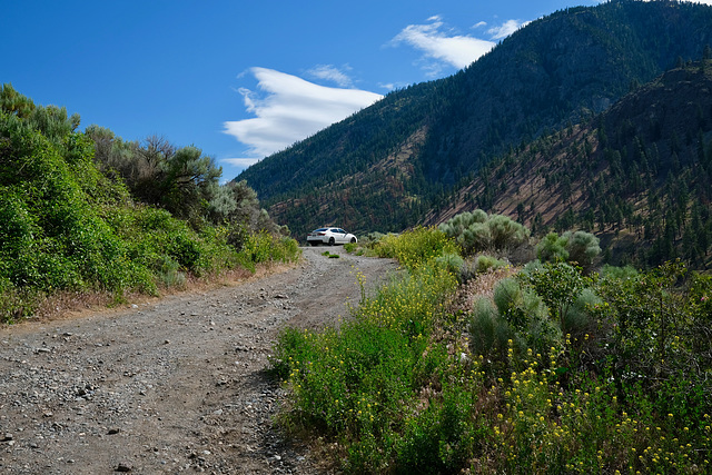 Path to the River