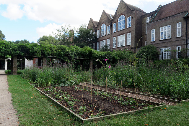 IMG 3129-001-Kitchen Garden