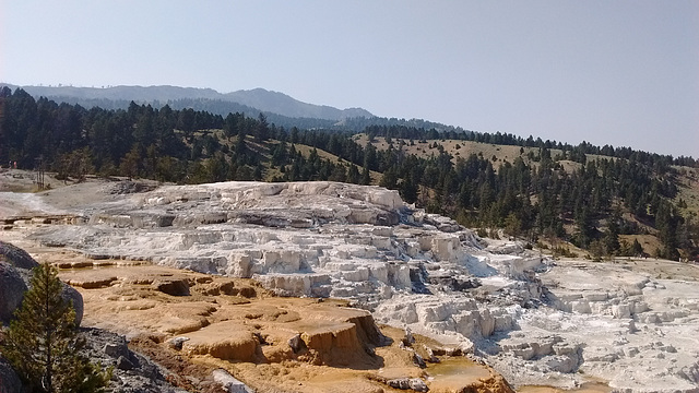 Yellowstone......un rêve éveillé.