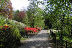 Kelvingrove Park