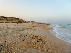 OIB Reunion, Duqm 2019