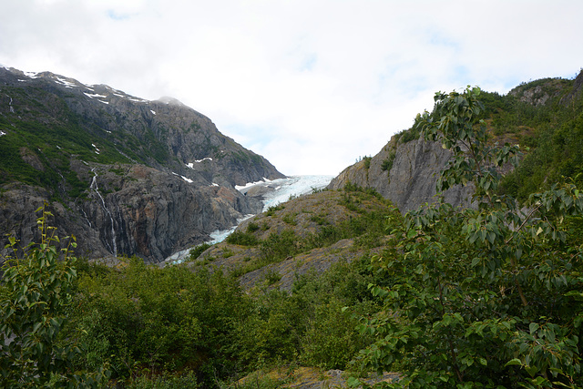 Alaska, On the Way to the Tongue of the Exit Glacier