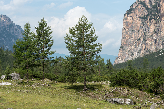 Rautal bei Pederü - 2017-07-20_D4_DSC2737