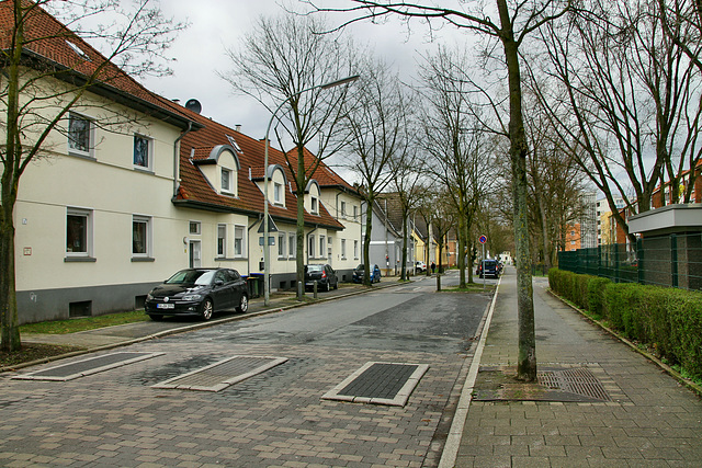 Lenaustraße (Lünen-Brambauer) / 16.03.2019