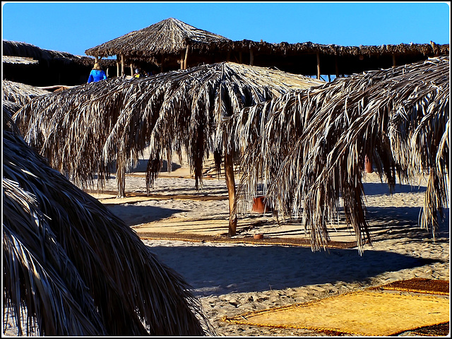 HURGADA : una distesa di ombrelloni naturali ricopre la spiaggia e il ristorante