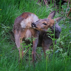 2024 0512 20090400 edited 2024 0512 20090400 edited