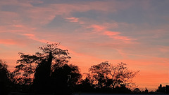 Evening display Evening display