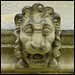 lion grotesque