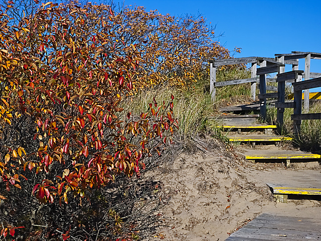 This Way To The Beach