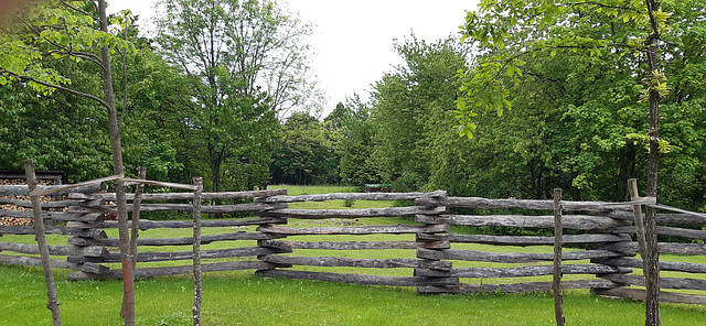 Happy Fence Friday to All of You