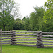 Happy Fence Friday to All of You