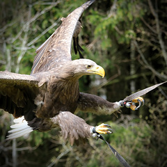 DSCF9102 v1 DSCF9102 v1