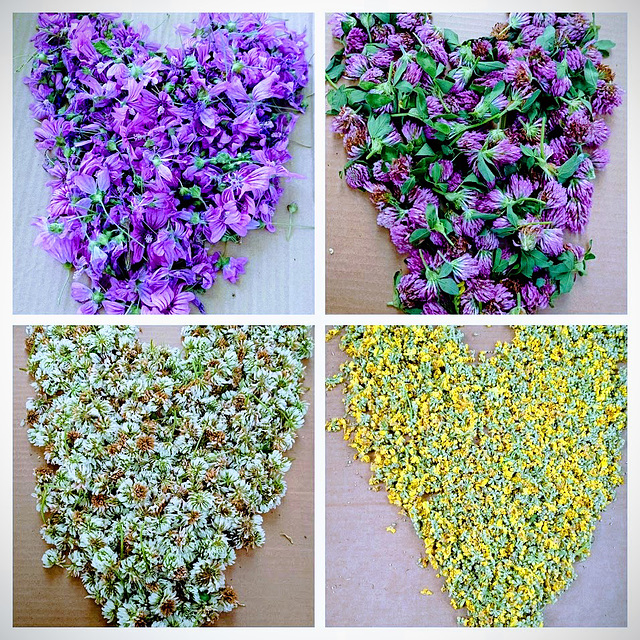 Hearts that protect our health