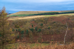 Peak Naze  from Shire Hill