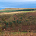 Peak Naze  from Shire Hill