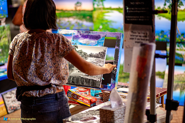 Painter on Mindil Beach Sunset Market