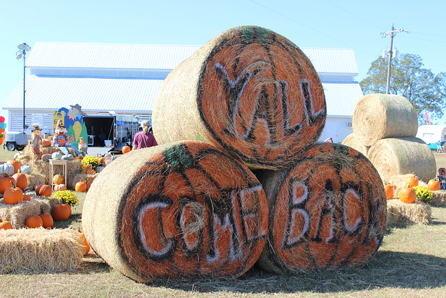 HAPPY FALL ~~  displays at a recent fall festival ~~  NOV. 2019