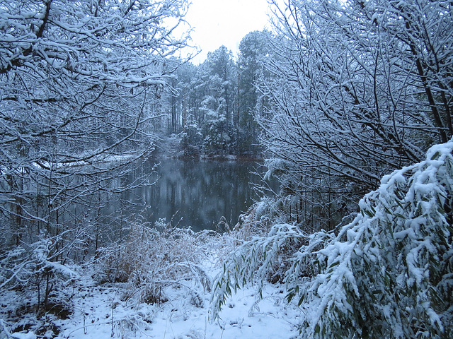 Our first snow storm in many years