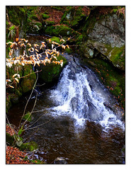 Cascade du Gérard