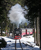 Steam in the woods
