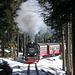 Steam in the woods