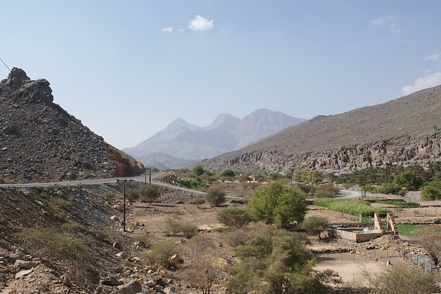 Omani Desert Scene