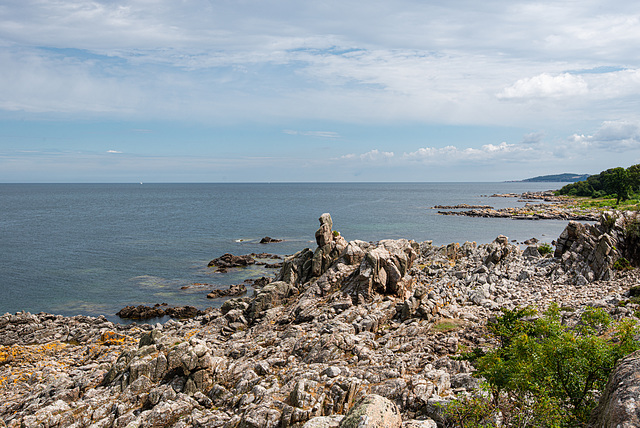 20210812- DSC7295