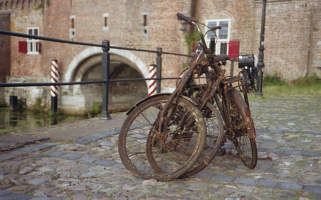 Die Beute des Ausbaggerns Die Beute des Ausbaggerns