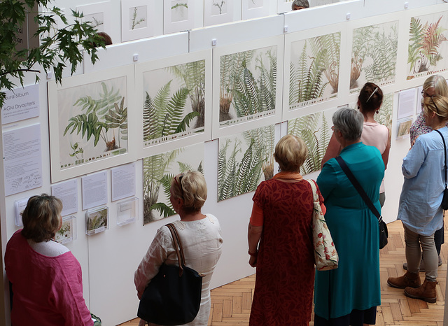 Fern fanciers