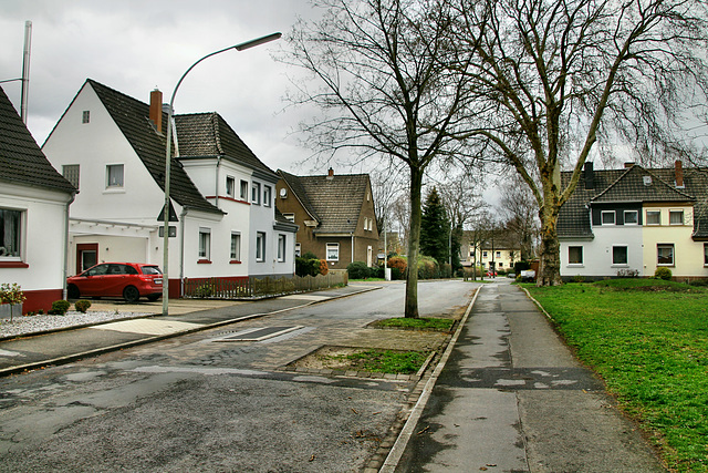 Lenaustraße (Lünen-Brambauer) / 16.03.2019