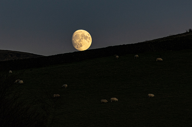 A resting Moon