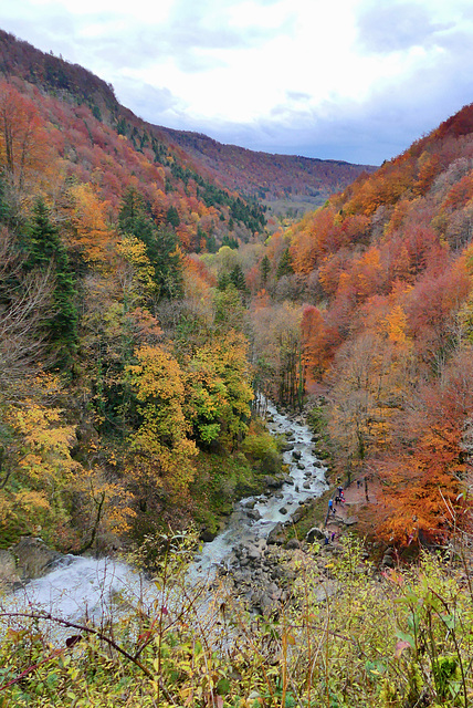 P1340165- La vallée du haut de l'Eventail (65m) - Cascades du Hérisson.  28 octobre 2020