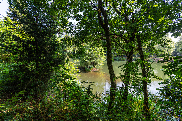 Basaltsee - 20150811